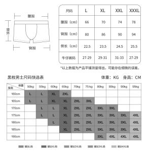 銅離子抗菌男士磁療內褲